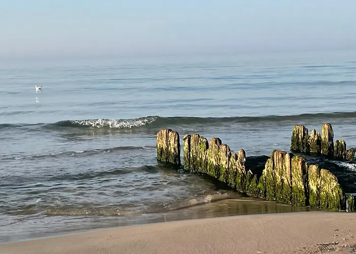 Daire Nautilus Grzybowo (West Pomeranian)